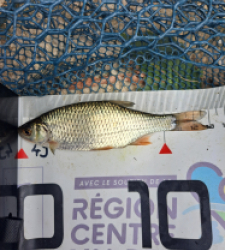 photo prise 60978 par FISH1MAX