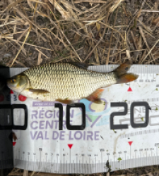 photo prise 61068 par Theo poitevin