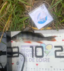 photo prise 61705 par Arnaud Devey