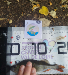 photo prise 61745 par Milou