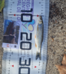 photo prise 62568 par LOUANN06