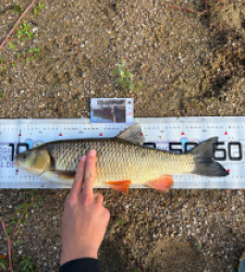 photo prise 62647 par louis.lesec