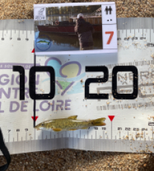 photo prise 62703 par lecointe.fabrice