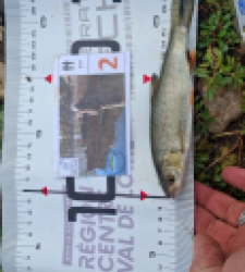 photo prise 62907 par sp-tina