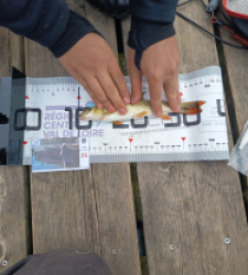 photo prise 63183 par Parky