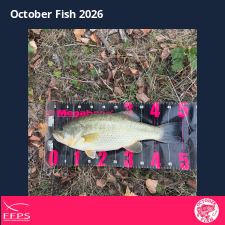 photo prise 63352 par ag_angler7
