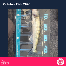 photo prise 64861 par Flo Fishing47