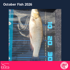 photo prise 64865 par Flo Fishing47
