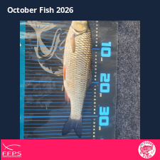 photo prise 64866 par Flo Fishing47