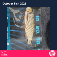 photo prise 64869 par Flo Fishing47