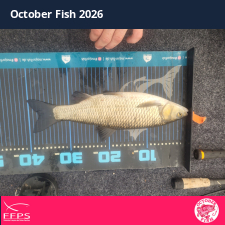 photo prise 64898 par Flo Fishing47