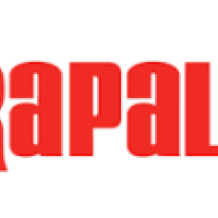 Sponsor
