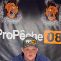 Sponsor