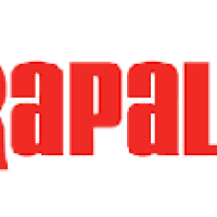 Sponsor